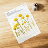 Billy Buttons Printable Envelope Liners