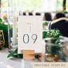 Laguna Table Numbers Template