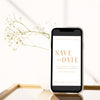 Terra Digital Save The Date Template