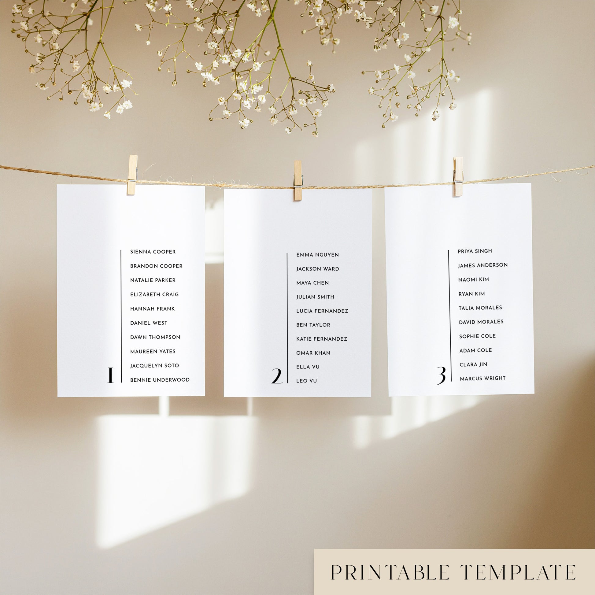Three white seating chart cards with printed names, clipped to a string with pegs, against a neutral background.