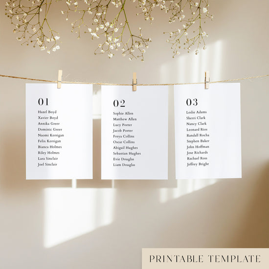 Three white seating chart cards with printed names, clipped to a string with pegs, against a neutral background.