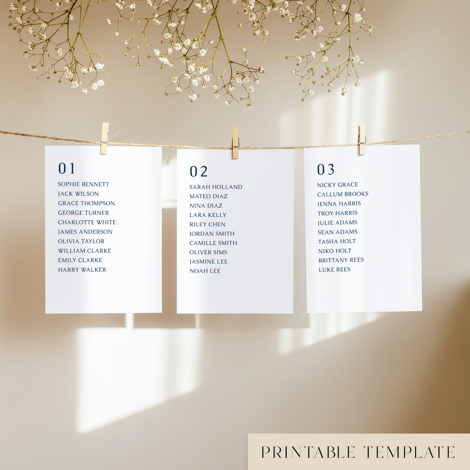 Three white seating chart cards with printed names, clipped to a string with pegs, against a neutral background.