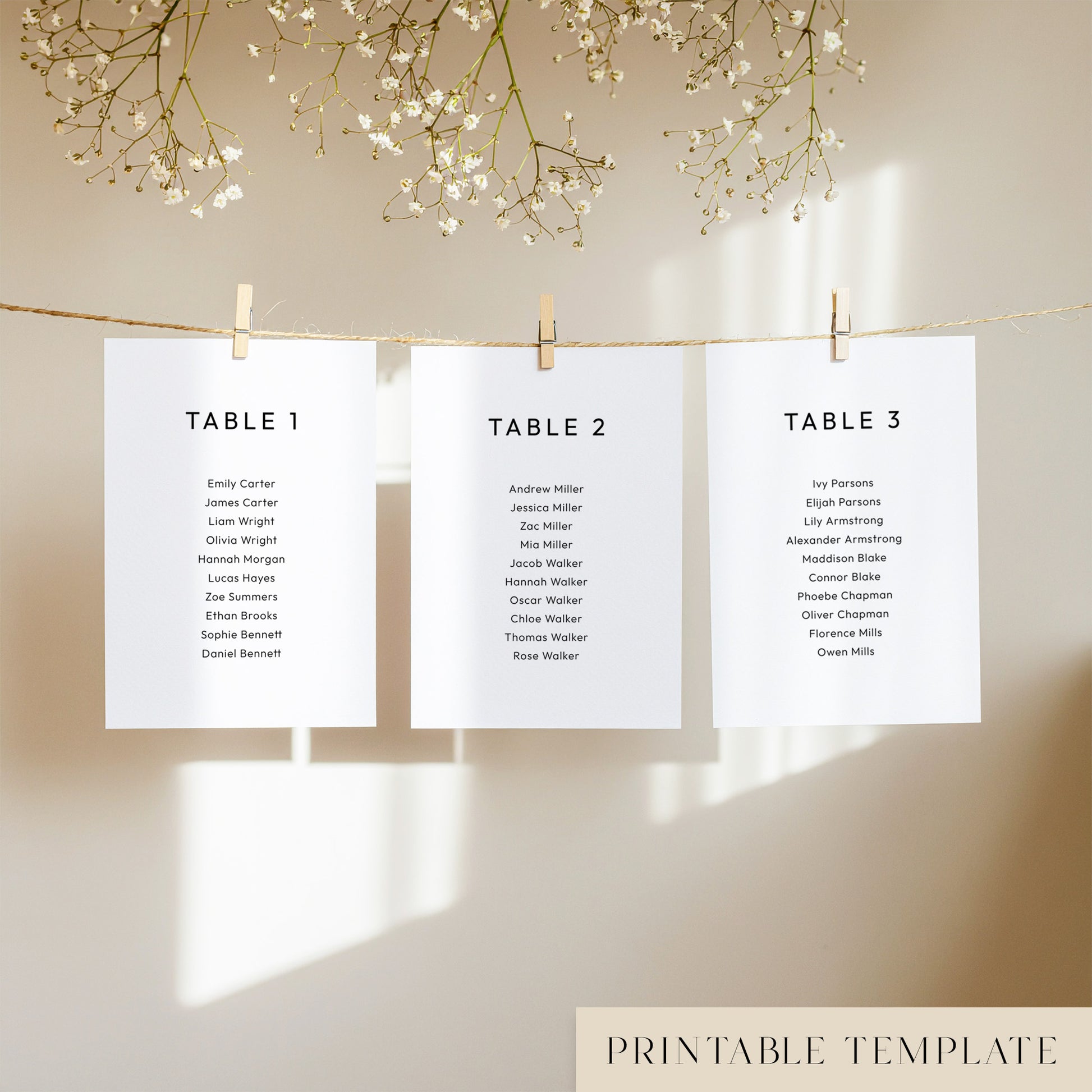Three white seating chart cards with printed names, clipped to a string with pegs, against a neutral background.