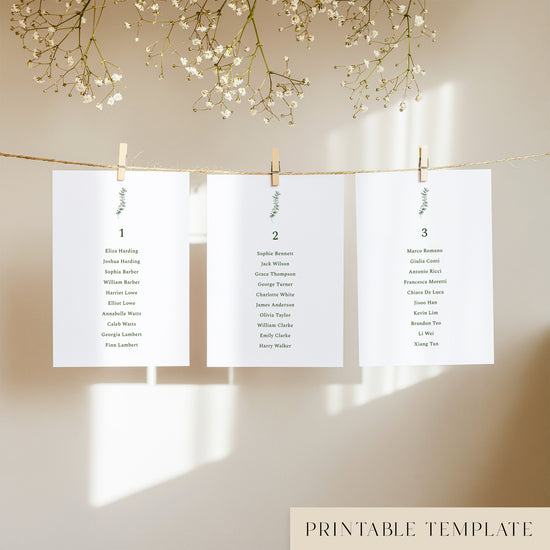 Three white seating chart cards with printed names, clipped to a string with pegs, against a neutral background.