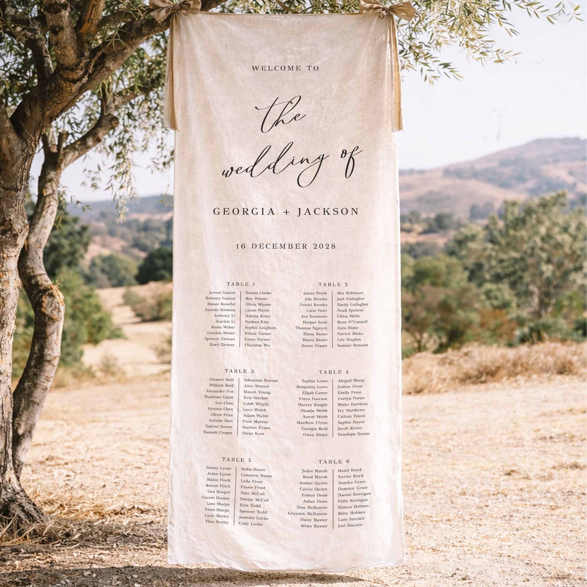 Decorative wedding fabric seating chart sign hanging from a tree in a scenic outdoor setting.