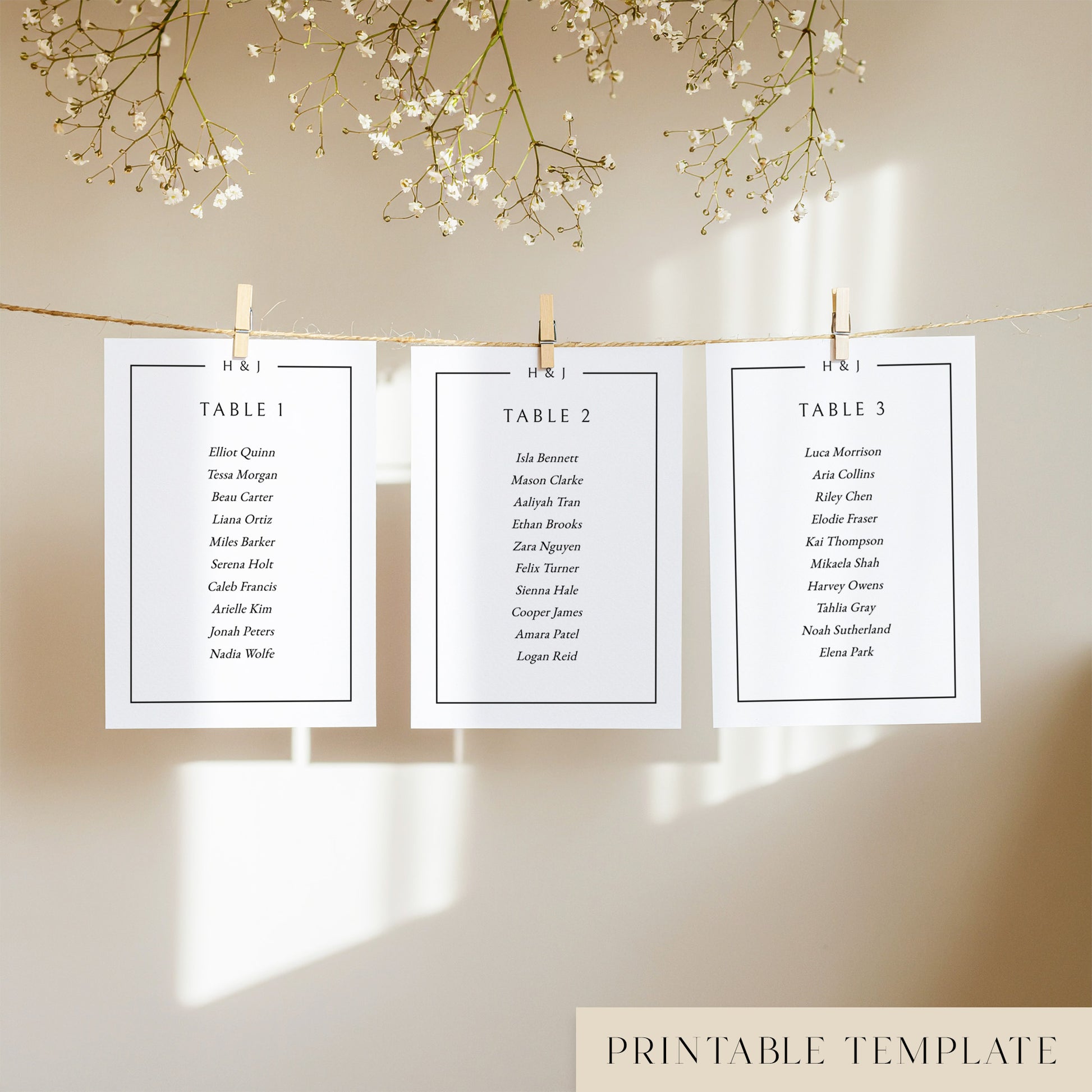 Three elegant seating chart cards with printed names, clipped to a string with pegs, against a neutral background.
