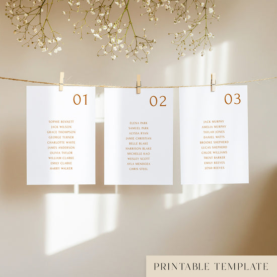 Three white seating chart cards with printed names, clipped to a string with pegs, against a neutral background.