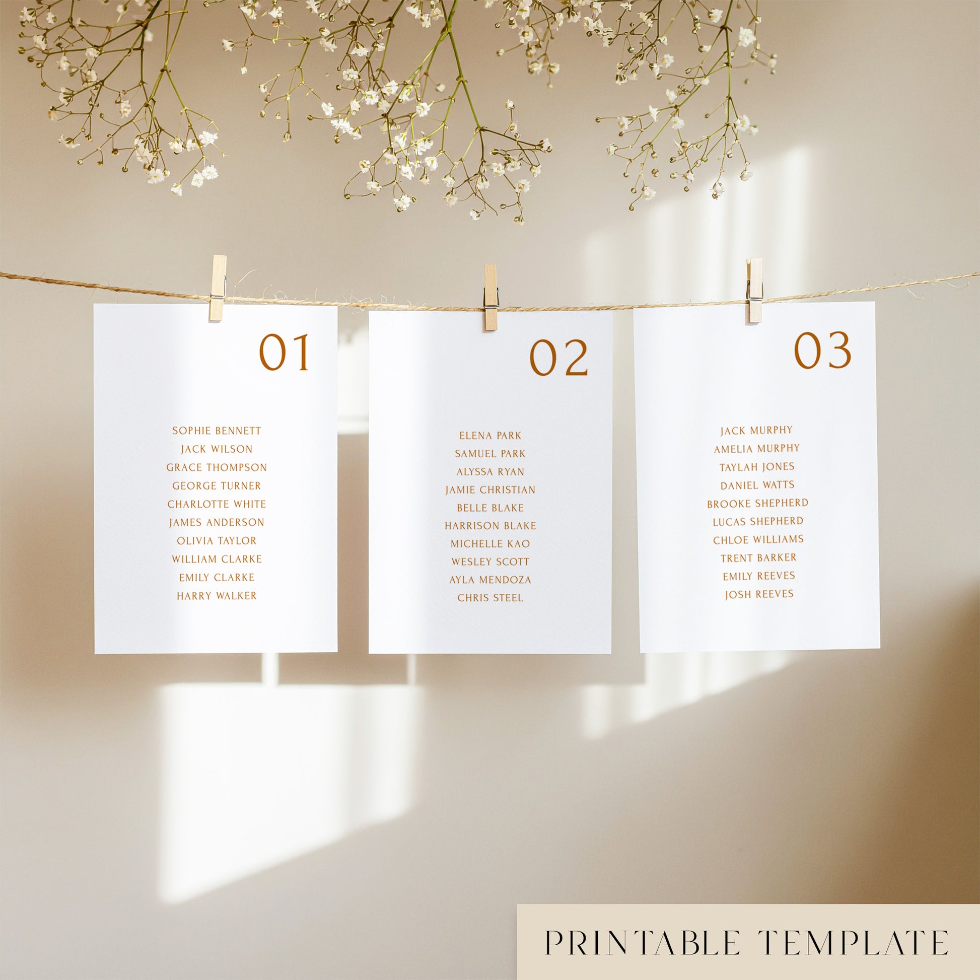 Three white seating chart cards with printed names, clipped to a string with pegs, against a neutral background.