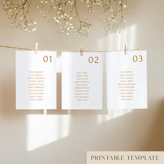 Three white seating chart cards with printed names, clipped to a string with pegs, against a neutral background.