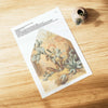 Cacti Printable Envelope Liners