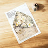 Wildrosen Printable Envelope Liners